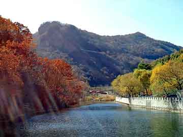 管家婆黑白马报图库，新宪嫂